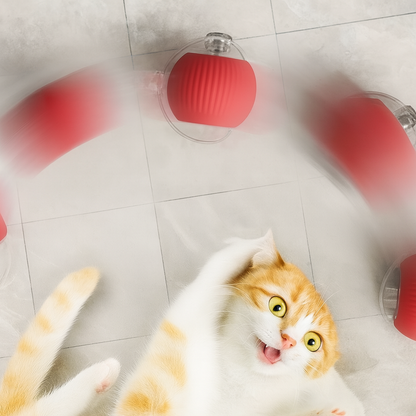 Tease Master - #1 Best Selling Pet Toy