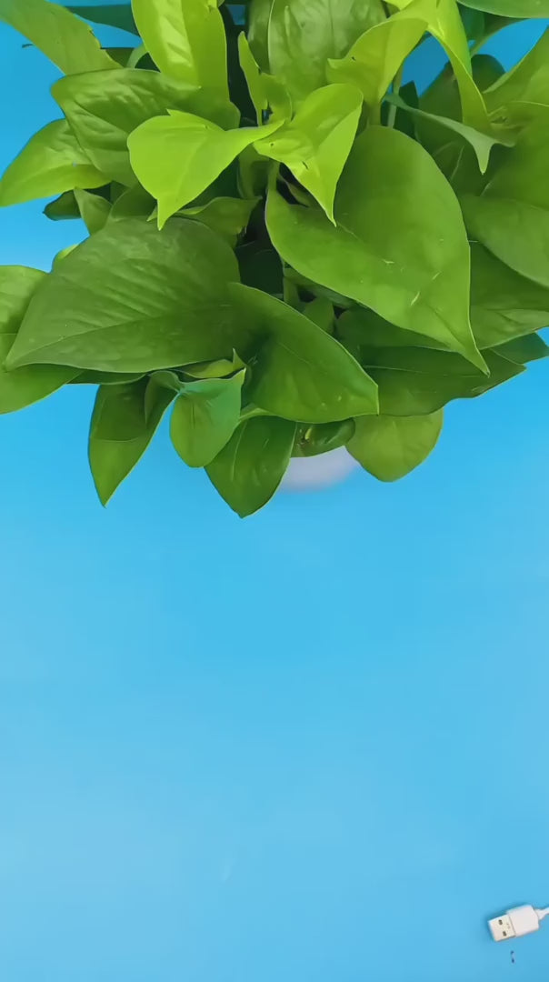 2 in 1 Mini Washing Machine