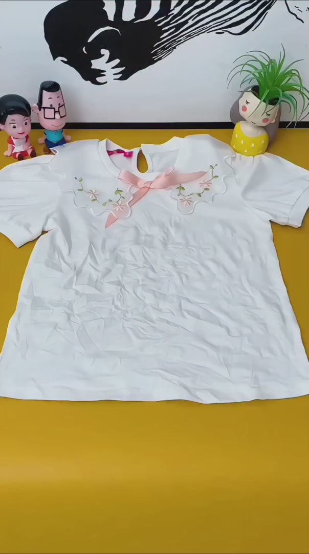 Portable Mini Ironing Machine