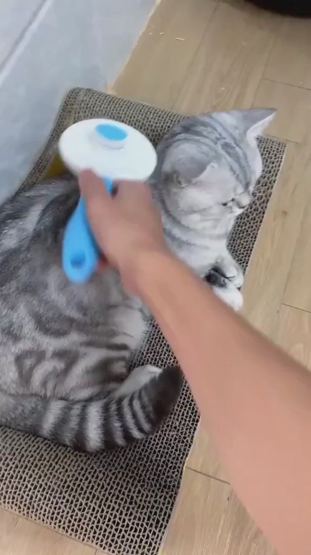 Cat Brush,Dog Brush, Pet Hair Cleaner Brush,Pet Grooming Cat Dog Brush,Pet Comb-Cat Comb For Kitten Massage Removes Loose Fur-Cat Grooming Brush Long Short Hair Cats Dogs Pet Brush